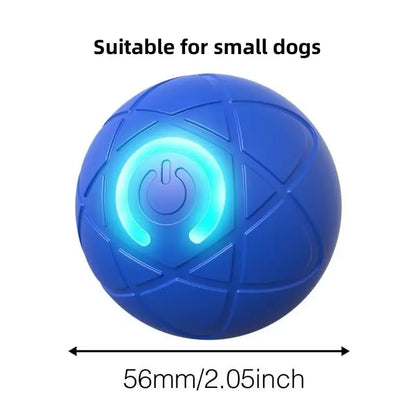 2026 Hot Sale 🐶 Interactive Shaky Ball Toy for Dogs & Cats
