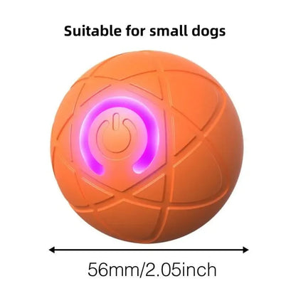 2026 Hot Sale 🐶 Interactive Shaky Ball Toy for Dogs & Cats